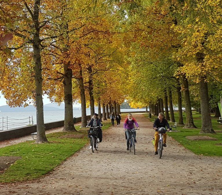 Modes actifs, mobilité et végétalisation